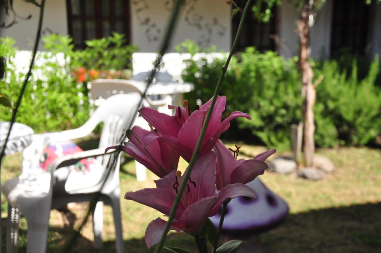 La Casa Del Arbol - Hostel אל בולסון מראה חיצוני תמונה